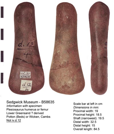 B58635